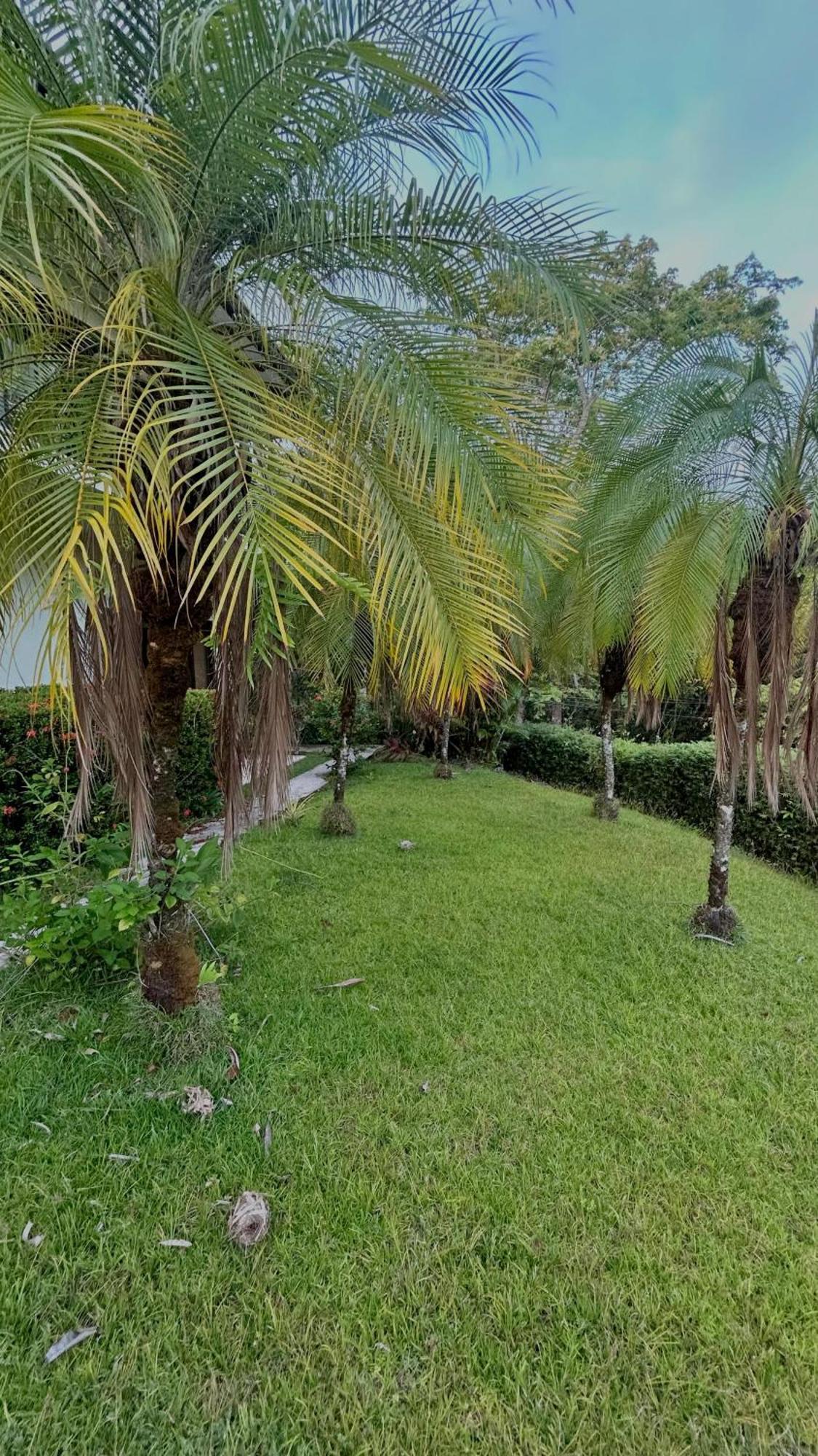 Villa Vista Mar Dominical Εξωτερικό φωτογραφία